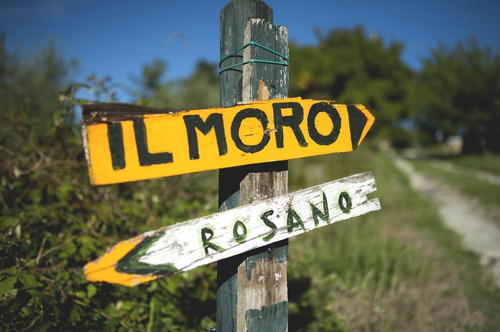 Country Room Il Moro Риньяно-суль-Арно Экстерьер фото